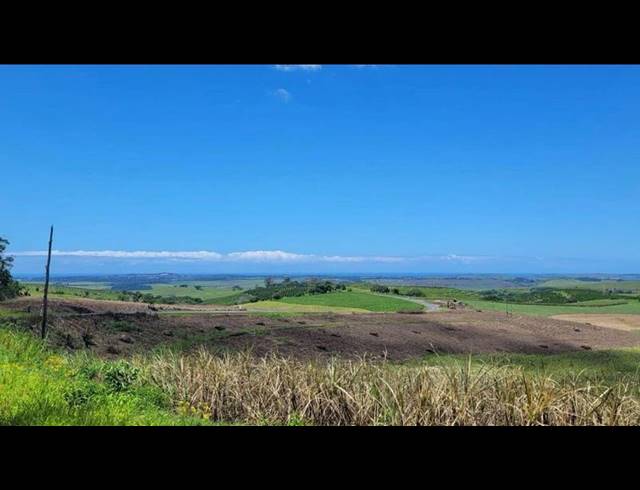 FARM FOR SALE IN BALLITO